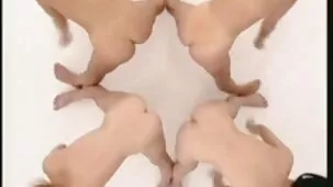 Adorable muyzorras tetonas Tigresa se dio un beso en ambas grietas dos caballeros ricos